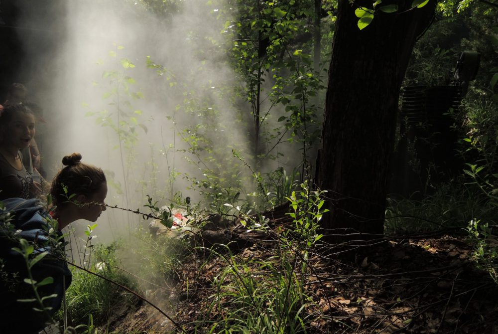 Breathe Earth Collective Natur
