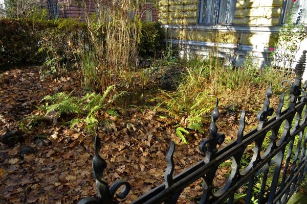 Vorgärten in Graz Ökoteam Garten Zaun