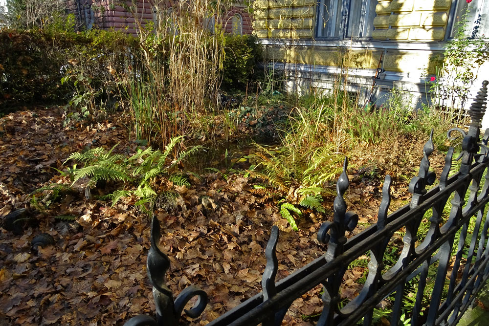 Vorgärten in Graz Ökoteam Garten Zaun