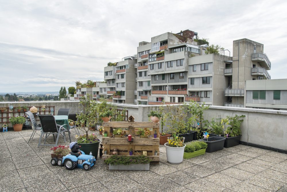 Ana Jeinic Grazotopia Terrassenhaussiedlung